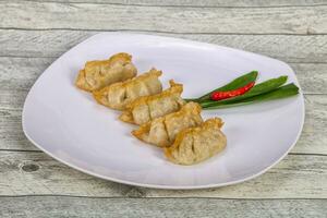 japanska traditionella rätter gyoza dumplings foto