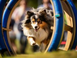 pigg hund tävlings genom ett rörlighet kurs ai generativ foto