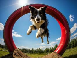 pigg hund tävlings genom ett rörlighet kurs ai generativ foto