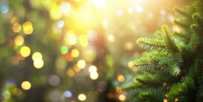 stänga upp av gran träd brunch med solljus bokeh. grund fokus. fluffig gran träd brunch stänga upp. jul tapet begrepp. kopia Plats. foto