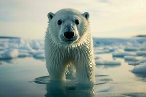 förtjusande arktisk däggdjur utseende direkt på de kamera på is ai genererad foto