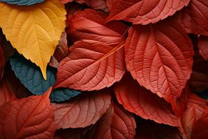 nordväst skolor guld och djupröd palett i höst leafs detalj ai genererad foto