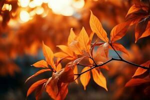 Sol kysste löv don de elegant stil av orange och djupröd ai genererad foto