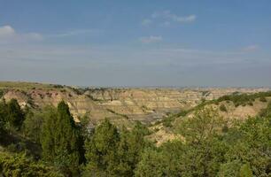 frodig träd på de kanter av de badlands foto