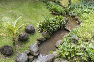 tropisk flod i perdana botaniska trädgårdar, kuala lumpur, malaysia foto