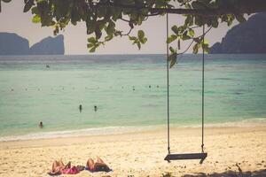 gunga hänga från kokos träd över strand, phi phi ö, thailand foto