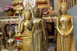 se av buddha staty i thailand foto