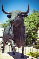 tjur staty i främre av de tjurfäktning arena i ronda, Spanien foto