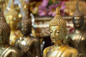 se av buddha staty i thailand foto