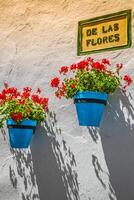 gata med blommor i de mijas stad, Spanien foto