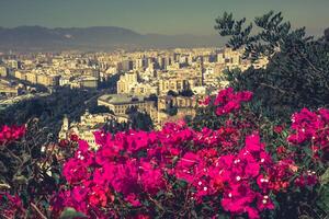 panorama av Malaga, Spanien foto