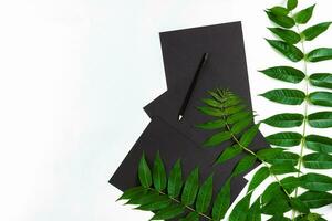 naturlig sammansättning med skissbok och pennor på vit tabell, dekorerad med grön grenar. platt lägga, topp se, se från ovan foto