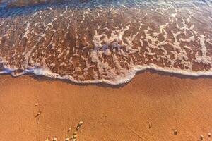 skön strand kust i de röd hav, egypten. foto