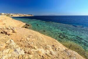 skön kust i de röd hav, egypten. foto