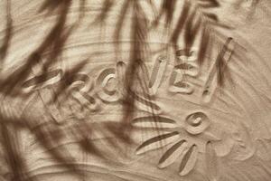 sommar begrepp med en skugga av en tropisk handflatan träd löv, copy på en vit strand sand. foto