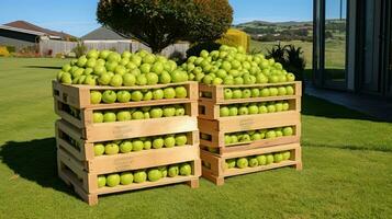 nyligen plockade Kiwi frukt från trädgård placerad i de lådor. generativ ai foto