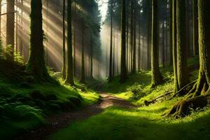 en väg genom en skog med solstrålar lysande genom de träd. ai-genererad foto