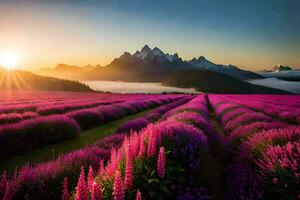 de Sol stiger över en fält av lavendel- blommor. ai-genererad foto