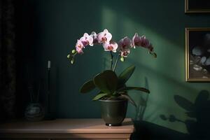 skön tropisk rosa phalaenopsis orkide i en pott på en bröst av lådor, i ett interiör med grön vägg, mörk bakgrund. kopia Plats. ai genererad. foto