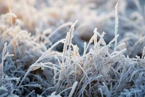 frysta grön gräs, gräs täckt med frost i vinter. generativ ai foto