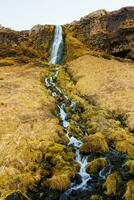 nära isländsk huvudstad, flod falls över en backe avslöjande majestätisk Seljalandsfoss kaskad. utmärkt nordic vattenfall i ett isig frysta landskap, naturlig scandinavian landskap. foto