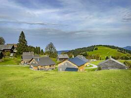 promenad genom de fohramoos europeisk skydd område i vorarlberg, österrike foto