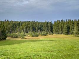 promenad på promenaden genom de fohramoos europeisk skydd område i österrike foto