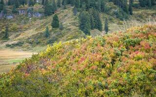 vandring, widderstein, hochtannberg, alperna, österrike foto