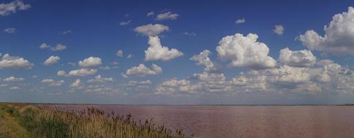 panorama över den rosa sjön sasyk-sivash på krim foto