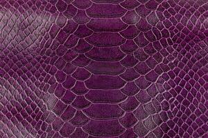 lila orm hud textur. abstrakt bakgrund och textur för design. foto