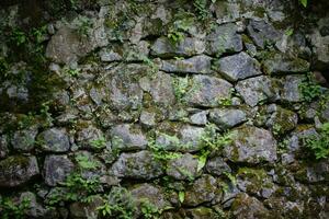 textur av en sten vägg med stenblock av olika former och grodd växter. foto