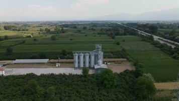 bruka vete silo foto