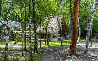 coba maya ruiner gammal byggnader pyramider i tropisk djungel Mexiko. foto