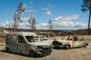 enorm brand i Portugal, som förstörd många hektar av skog, byar, bilar och landskap foto