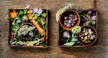 örter medicin blommor foto