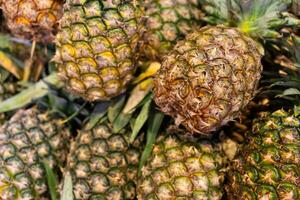 ananas bakgrund. lugg av mogen ananas på de marknadsföra disken. många gul frukt staplade på de mataffär. uppköp ananas på en matvaror Lagra, friska organisk mat. foto