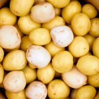 bakgrund skalad färsk ny potatisar stänga upp. topp se. foto