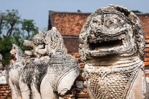 staty lejon stil cambodia runt om pagod ruiner. i wat thammikarat tempel på ayutthaya, thailand foto