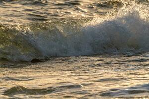 vågor brytning på strand under solnedgång foto