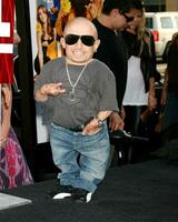 verne troyer kärlek guru premiär graumans kinesisk teater los angeles ca juni 11 2008 foto