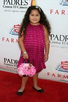 daniella baltodano anländer på de padres kontra el cancer 9:e årlig gala på de hollywood palladium i los angeles ca på september 10 2009 foto