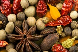 krydda rike förtjusande rempa är en fängslande samling den där transporter du till en värld av aromatisk kryddor och exotisk smaker foto