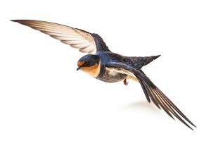 ladugård svälja flygande vingar spridning, fågel, hirundo rustica, flygande mot vit bakgrund, generativ ai foto