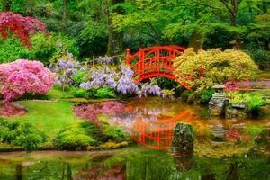 japansk trädgård, parkera clingendael, de Haag, nederländerna foto