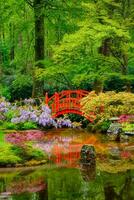 japansk trädgård, parkera clingendael, de Haag, nederländerna foto