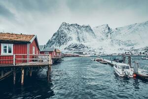 traditionell röd rorbu hus i reine, Norge foto