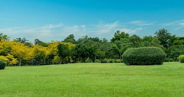 skön gräs fält och träd med blå himmel. landsbygden landskap se bakgrund foto