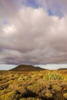 de landskap av de ö av galapagos foto