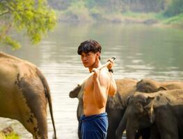 närbild asiatisk stilig mahout med perfekt kropp verkande för en Foto skjuta på besättning av asiatisk elefanter bakgrund.