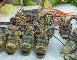 närbild asiatisk hummer på is bricka redo till grill och laga mat för kund på gata mat i Phetchaburi, thailand. foto